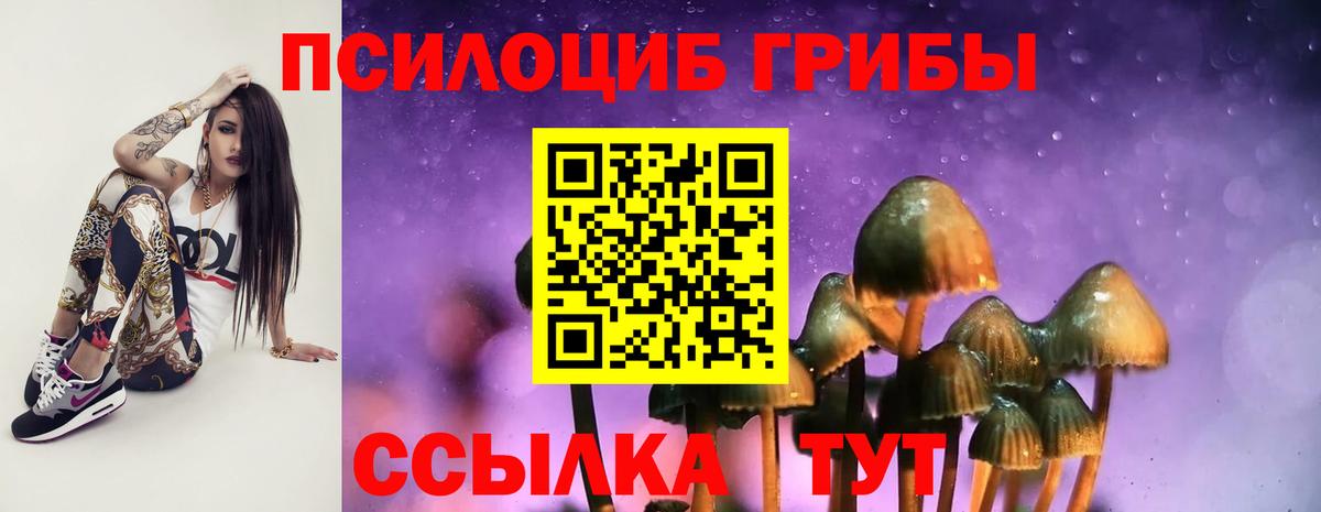 Псилоцибиновые грибы Psilocybe  где продают наркотики  Железноводск  Вход с VPN 